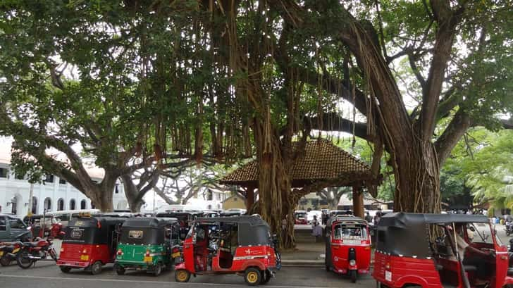 Reizen naar Sri Lanka