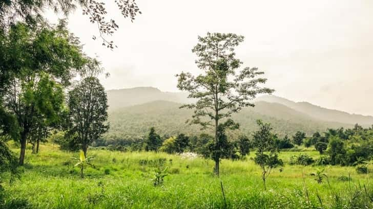 chiang mai bezienswaardigheden