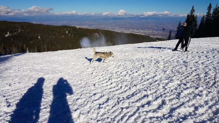 Wintersport in Bulgarije. Mount Vitosha, Sofia