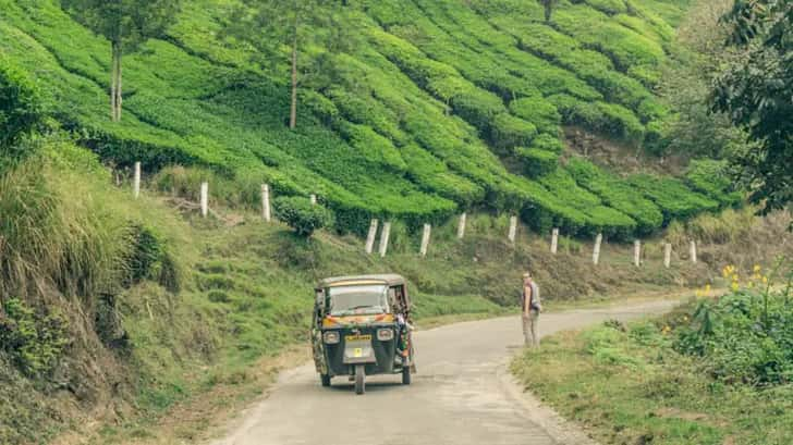 munnar india