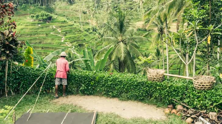 bali of lombok