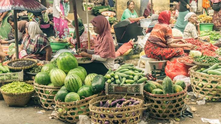 reizen naar indonesië