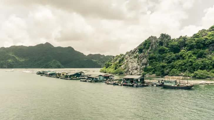 halong bay vietnam