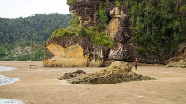 Bako National Park, Borneo, Maleisië.