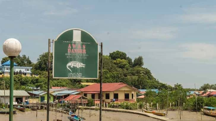 Bako National Park, Borneo, Maleisië. Pas op, krokokdillen