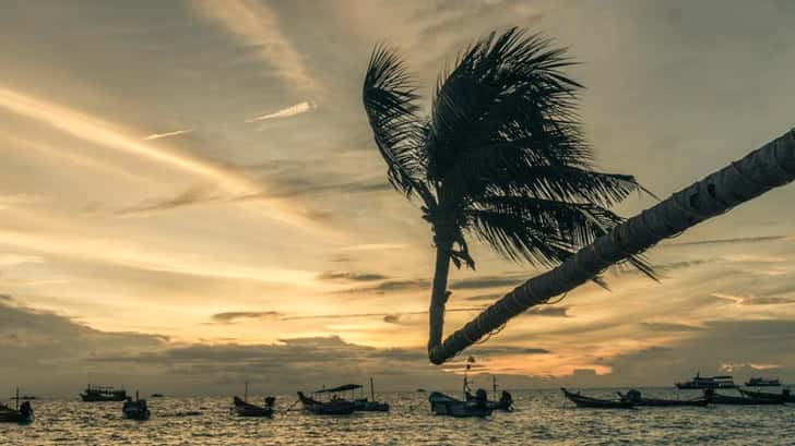 koh tao thailand