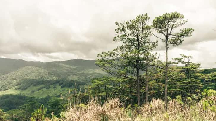 dalat vietnam