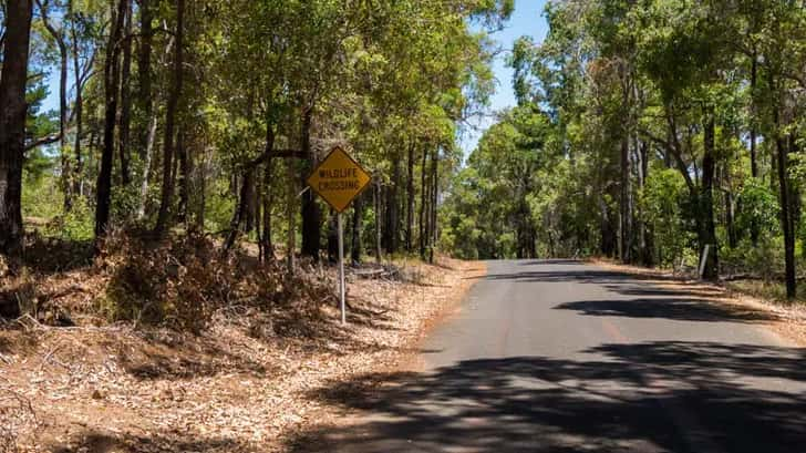 roadtrip West Australië