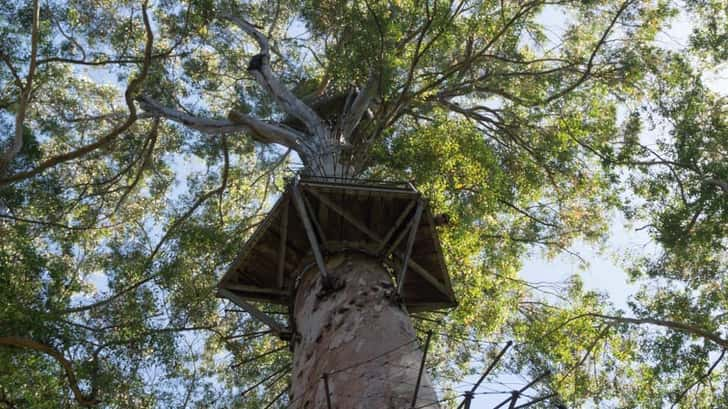 Warren National Park