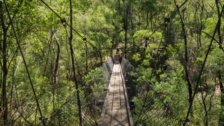 roadtrip west Australië - Beedelup Falls, Greater Beedelup National Park