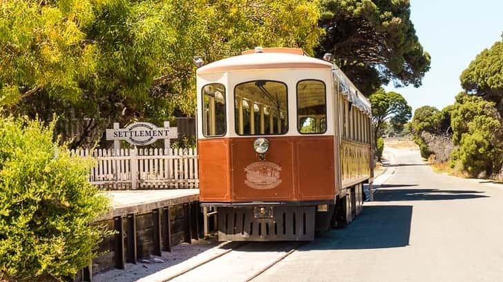 Rottnest island