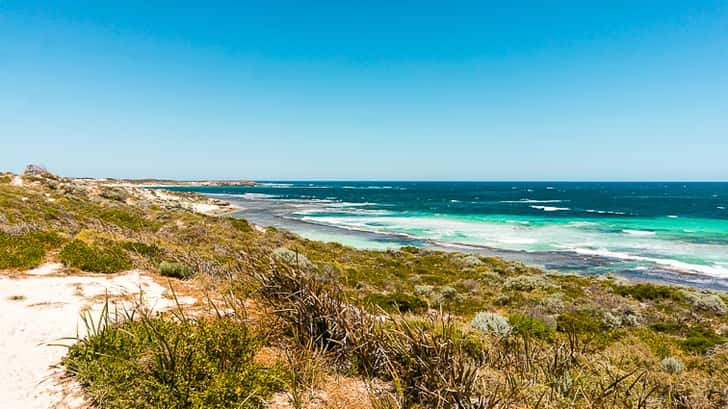 Baaien Rottnest island