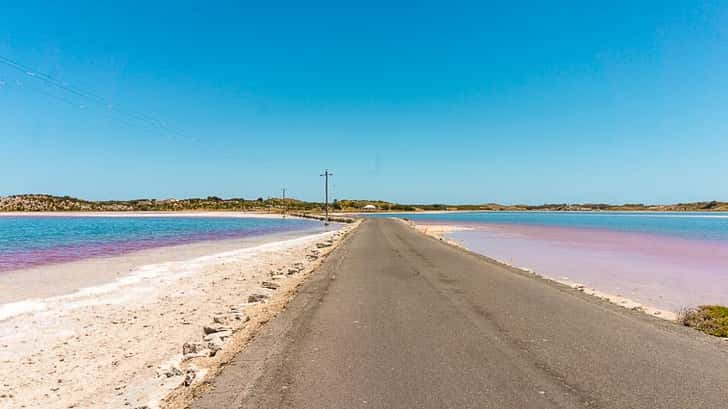 Pink Lake Rottnest Island