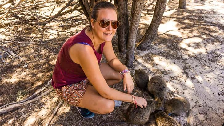 Quokka's Rottnest Island