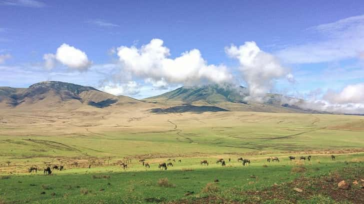 Kilimanjaro