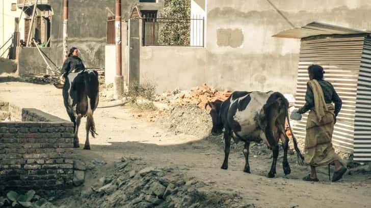 backpacken in nepal