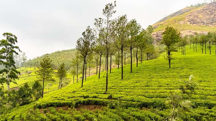 Munnar