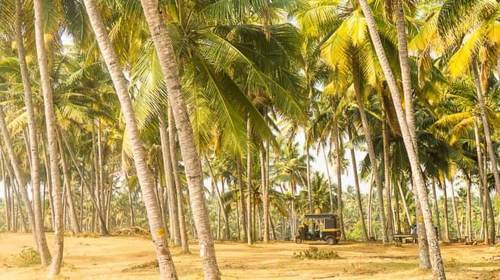 Varkala