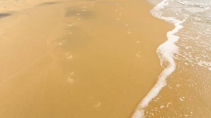 Kappil Beach Varkala