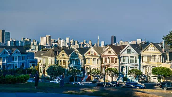 Painted ladies