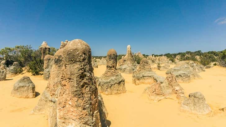 West Australië bezienswaardigheden: The Pinnacles Desert