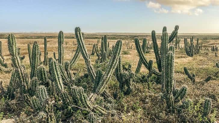 Highlights Colombia, Punta Gallinas