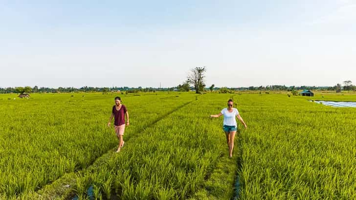 Ubud tips: op de scooter langs rijstvelden