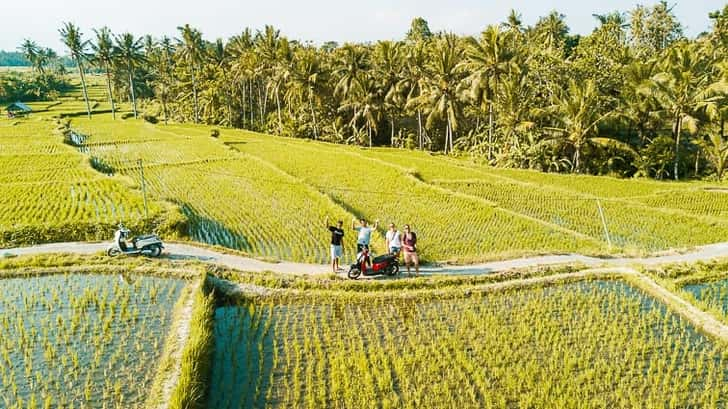 Ubud tips: op de scooter langs rijstvelden