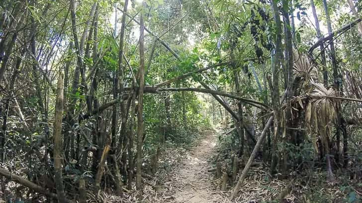 Gibbon Experience in Laos