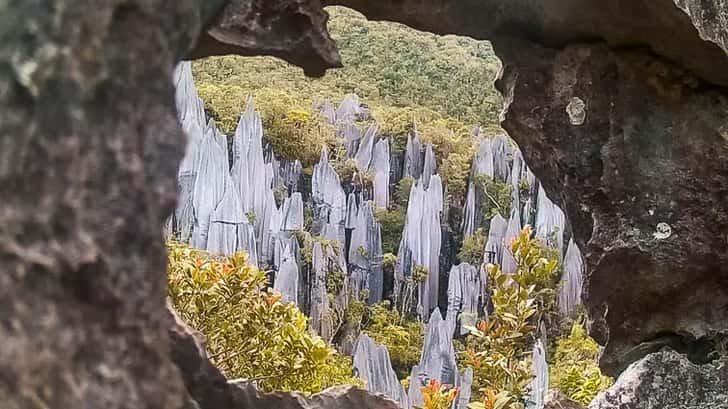 The Pinnacles Borneo