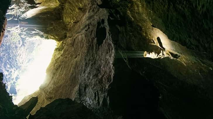 Gunung Mulu National Park. Garden of Eden