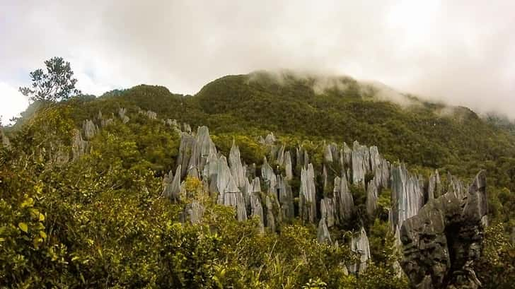 Gunung Mulu National Park