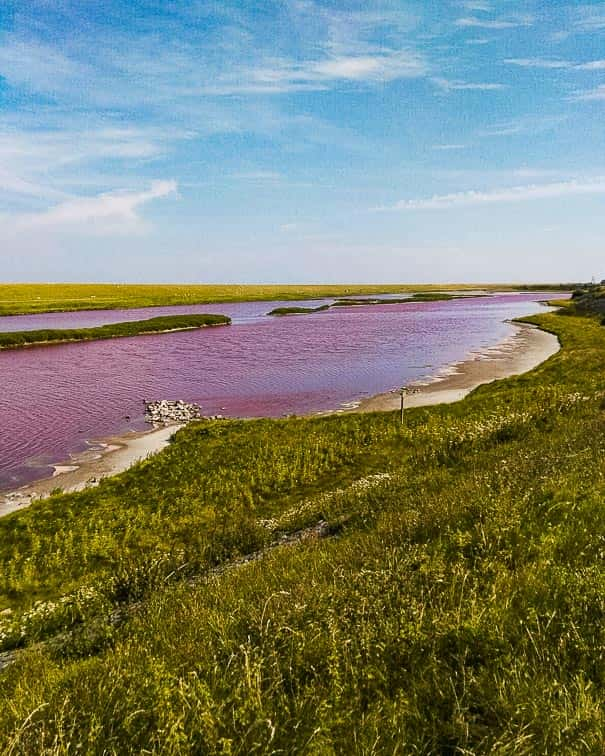 Te doen op Texel. Pink Lake Texel