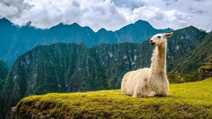 Macchu pichu