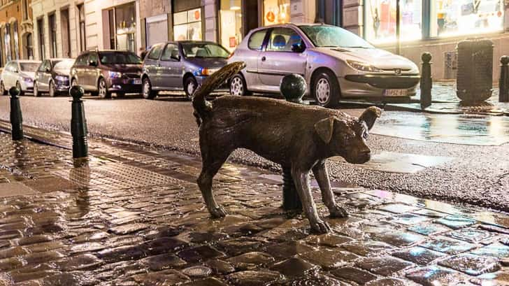 Doen in Brussel: Zinneke Pis