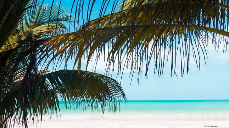 Punta Mosquito Isla Holbox