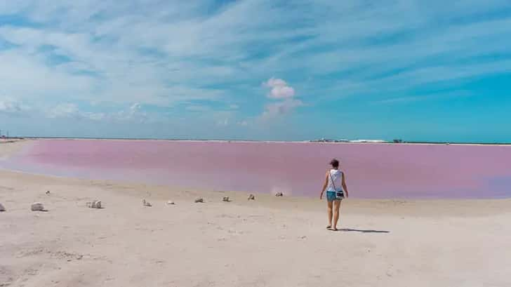 Las Coloradas. De roze meren van Las Coloradas