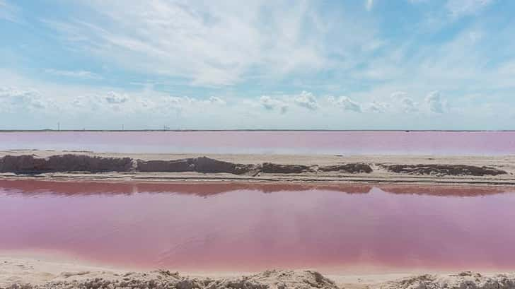 Las Coloradas. De roze meren van Las Coloradas