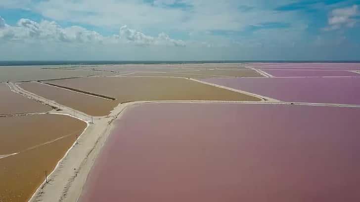 Las Coloradas. De roze meren van Las Coloradas