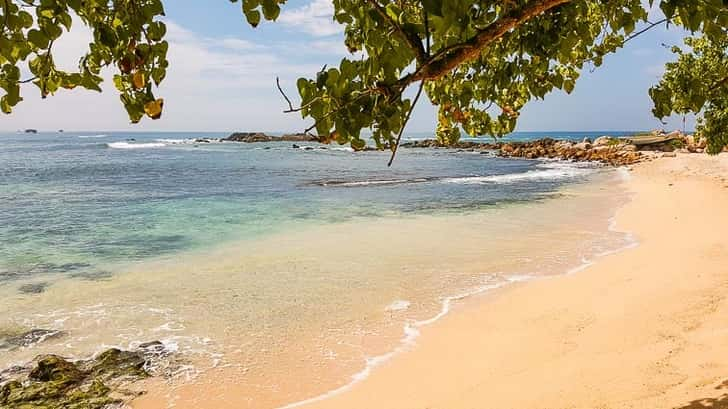 Walvissen spotten in Mirissa, Sri Lanka