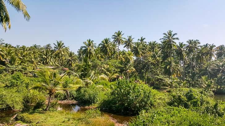 Mirissa, Sri lanka