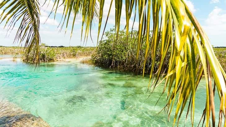 Laguna Bacalar Mexico: Los Rapidos