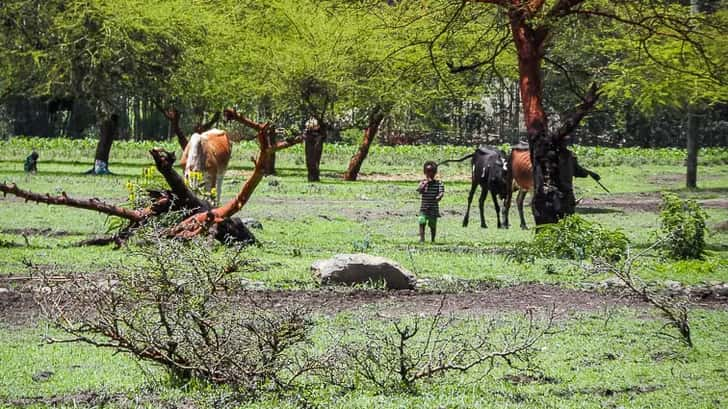 Lokale bevolking. Bahir Dar, Ethiopië