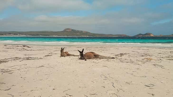 Lucky Bay Australië