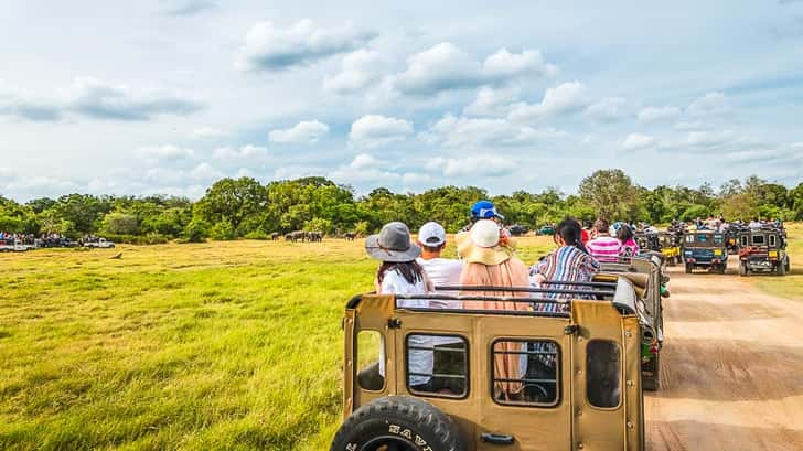 Minneriya National Park