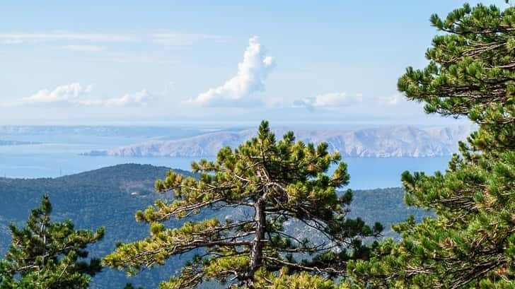 Krk eiland Kroatië