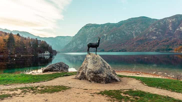 Meer van Bohinj Slovenië (Lake Bohinj)