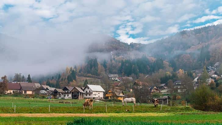 Vallei Slovenië