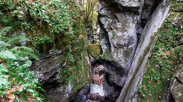 Bear’s Head, Slovenië