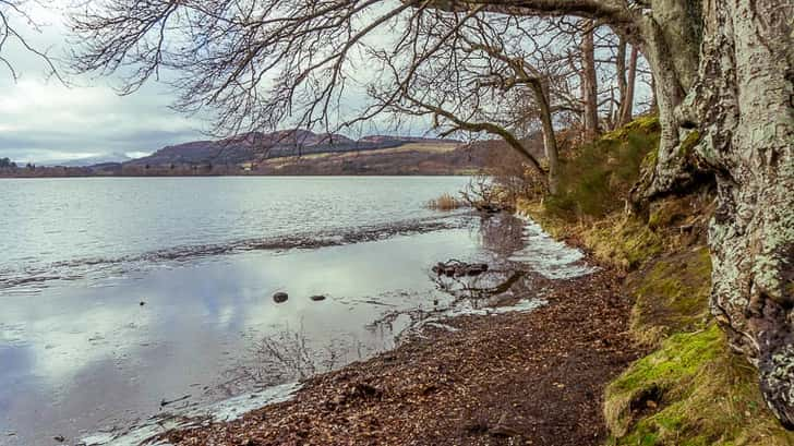 Loch Lomond en Trossachs National Park Schotland